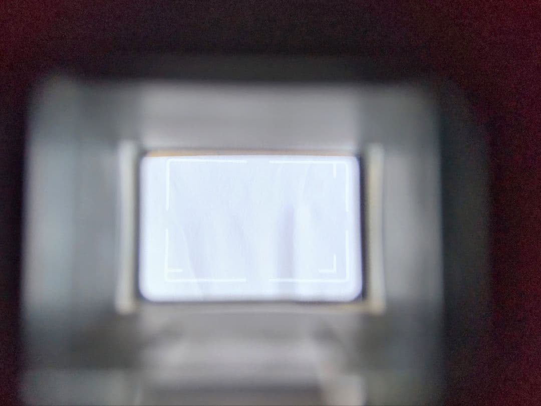 ROLLEI 35 T シンガポール