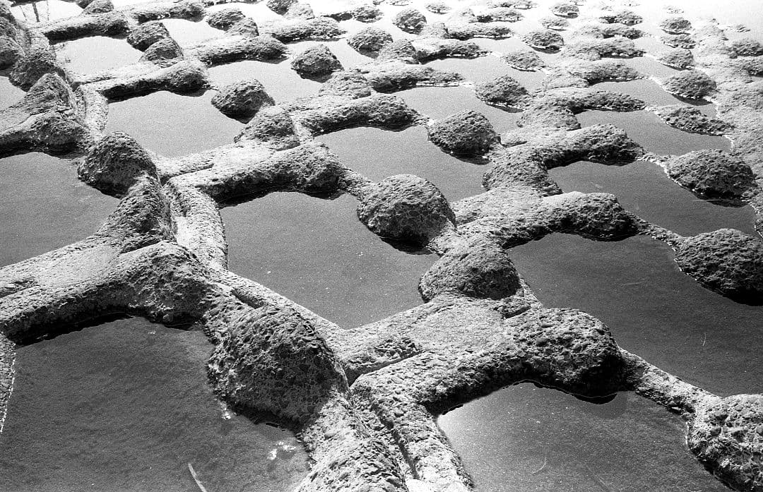 ROLLEI 35 T シンガポール