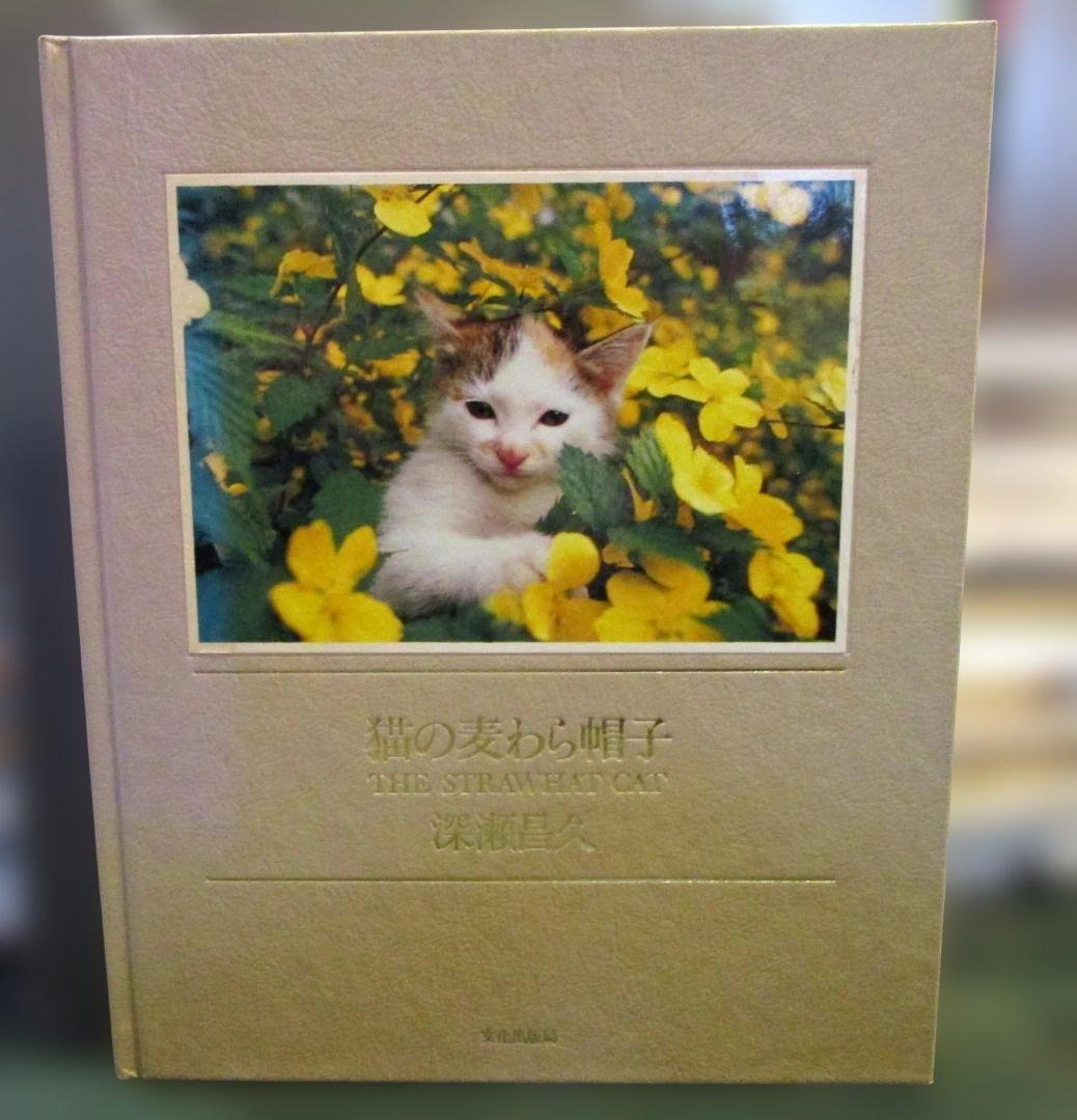 猫の麦わら帽子 THE STRAW CAT　深瀬昌久