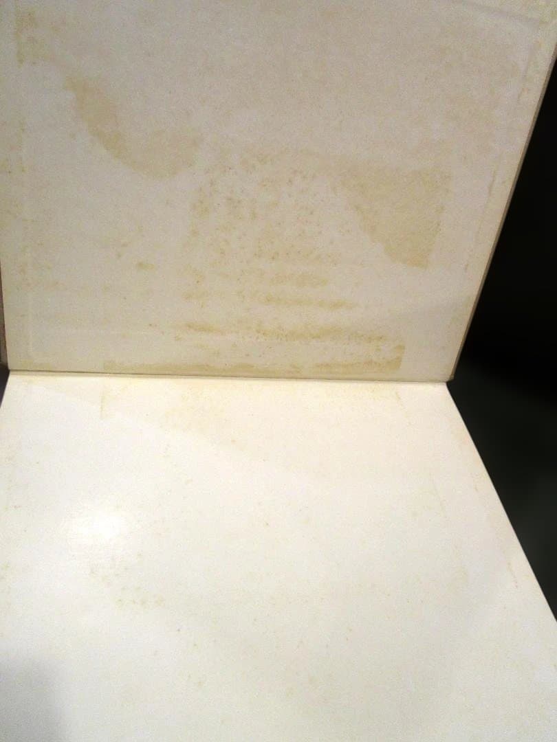 猫の麦わら帽子 THE STRAW CAT　深瀬昌久