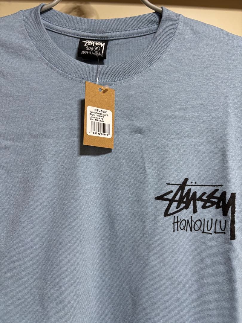 Stüssy ストゥーシー　ハワイホノルル限定　希少色　長袖　Ｍ