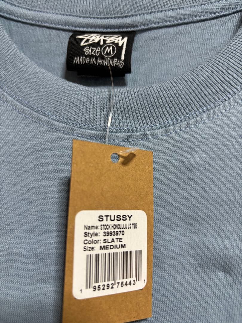 Stüssy ストゥーシー　ハワイホノルル限定　希少色　長袖　Ｍ