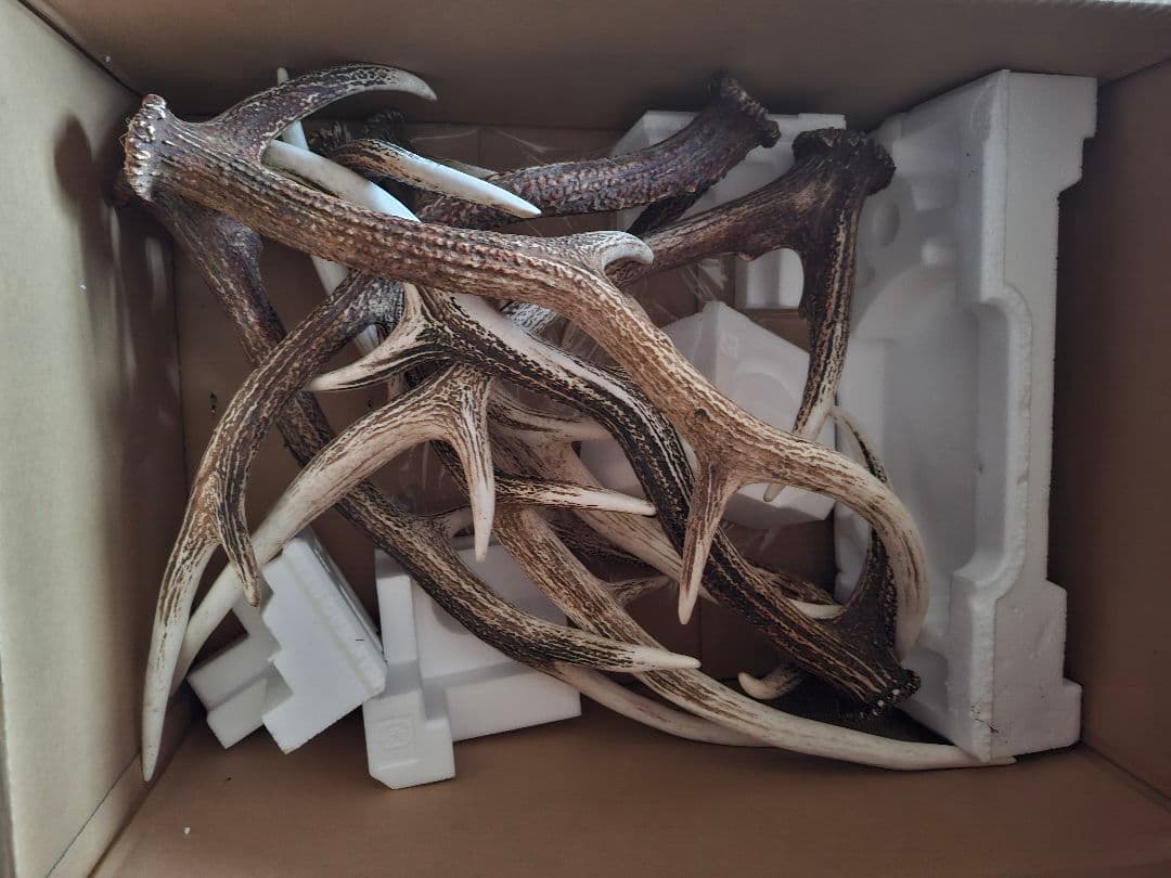 クラフト画面・蝦夷鹿角8本　道東