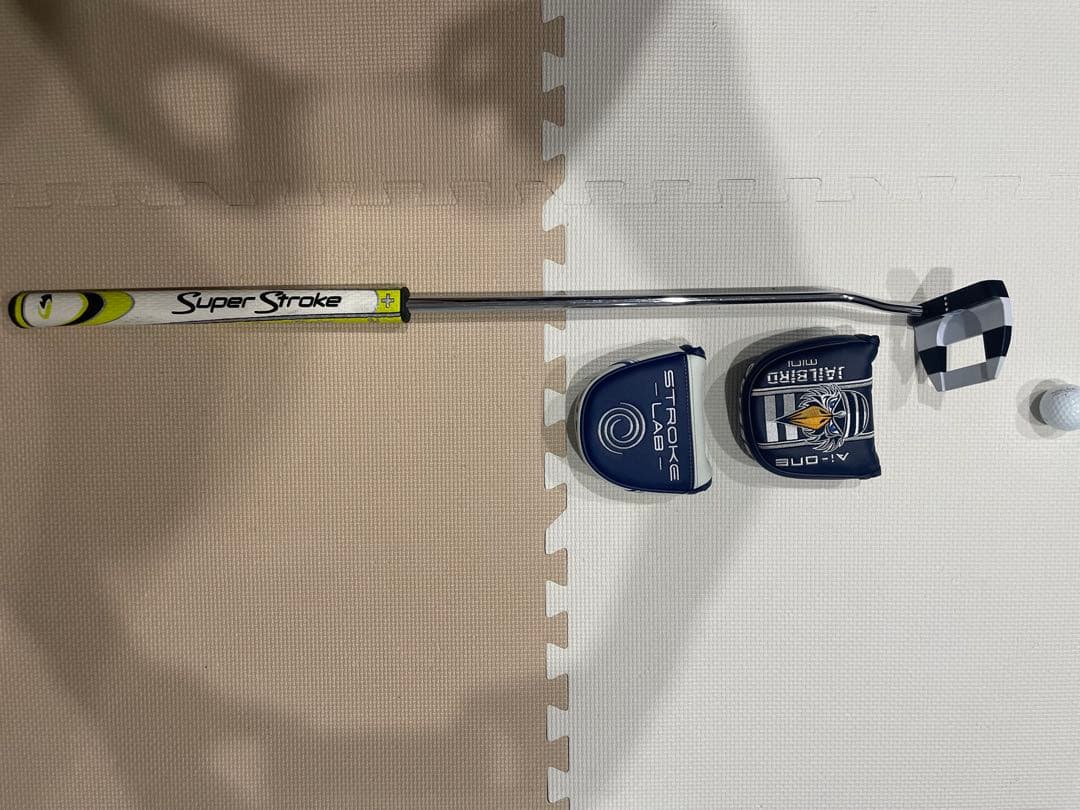 希少！ジェイルバードミニパター