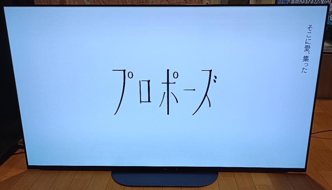 スナフキン　美品19年製55V型SONY BRAVIA KJ-55A9G