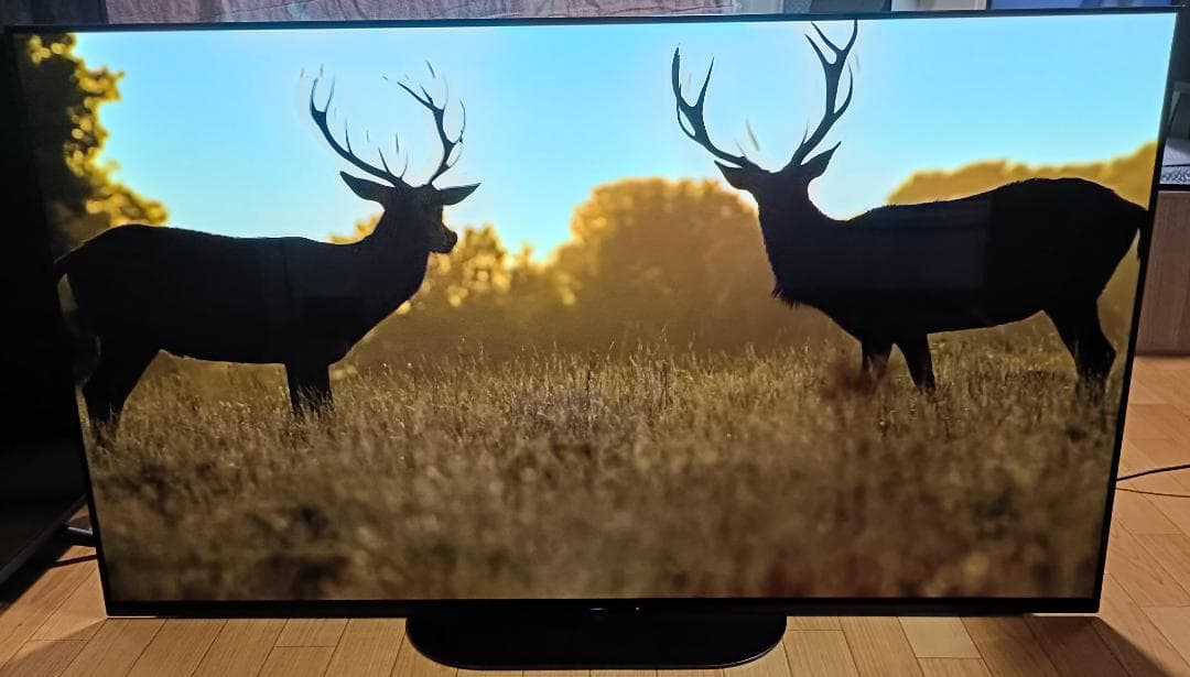 スナフキン　美品19年製55V型SONY BRAVIA KJ-55A9G