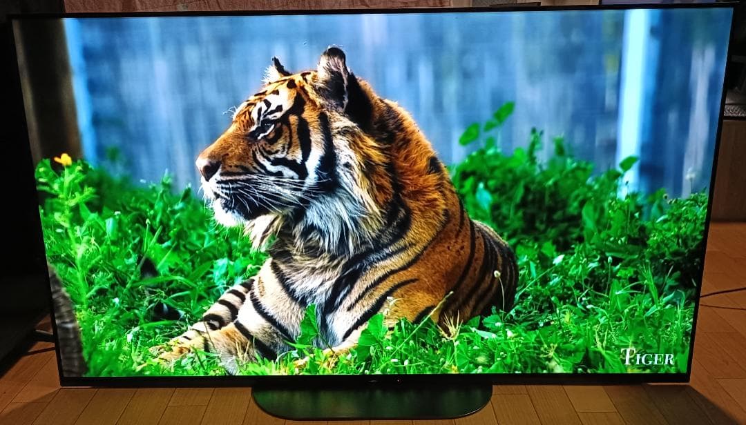 スナフキン　美品19年製55V型SONY BRAVIA KJ-55A9G