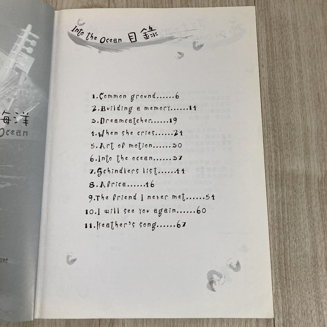 入手困難 Andy McKee 海洋（CD付、VCD無）