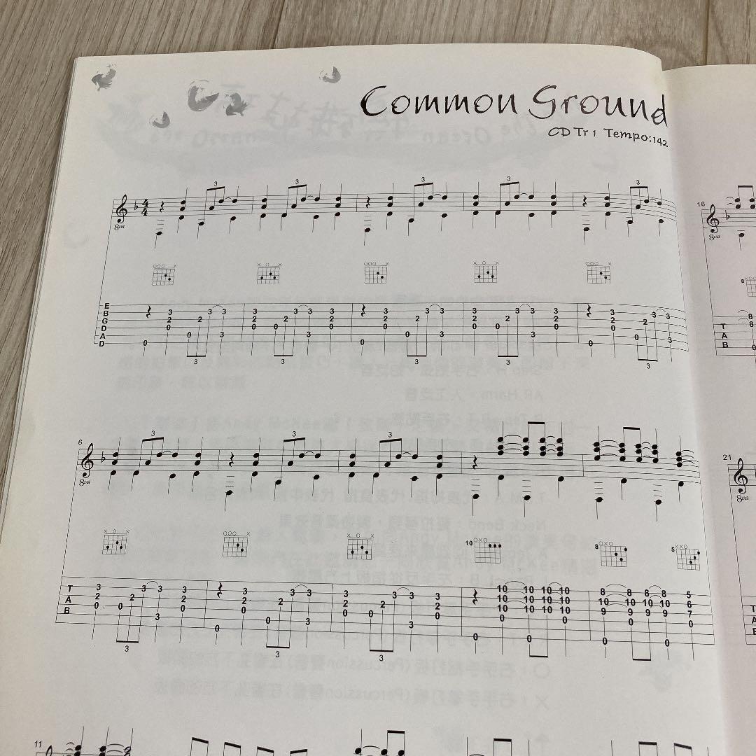 入手困難 Andy McKee 海洋（CD付、VCD無）