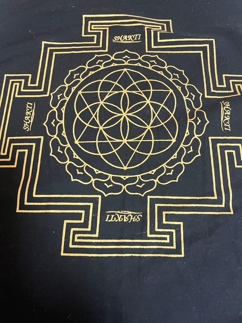 シャクティ　SHAKTI リラクゼーショングッズ マット 正規品