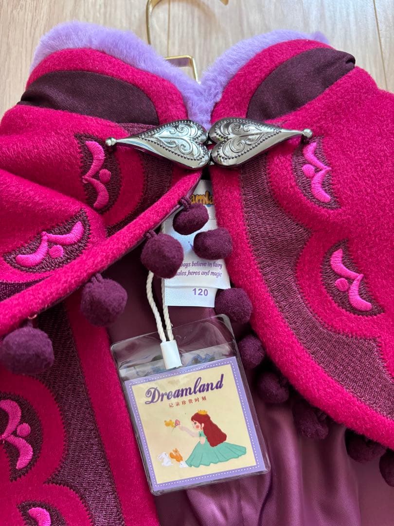 アナと雪の女王　アナ雪山ドレス　新品　120サイズ　ディズニー