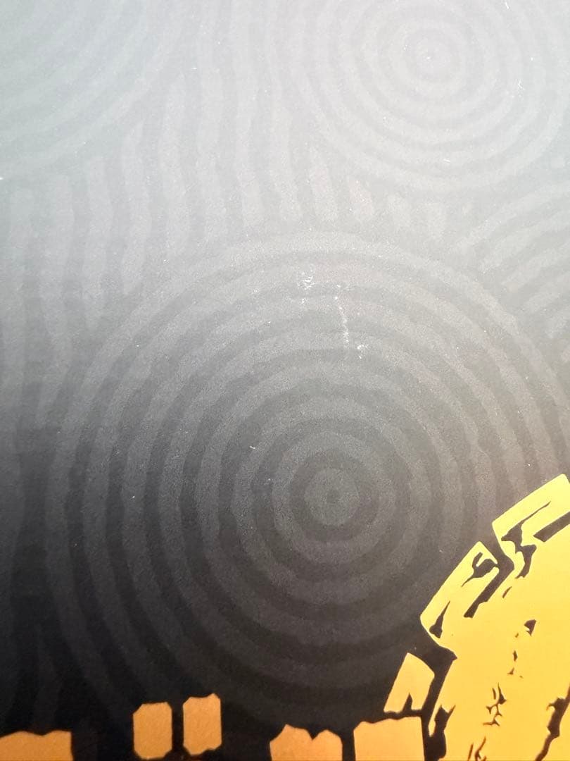 ゼルダの伝説 ティアーズ オブ ザ キングダム 限定版+未開封amiiboリンク