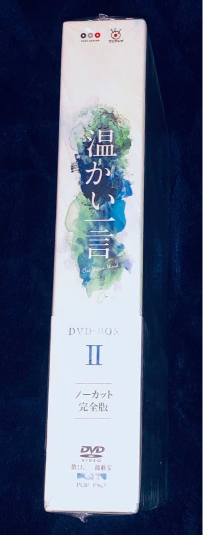 温かい一言（ノーカット完全版）DVD-BOX II / 2 国内正規品 チ・ジニ