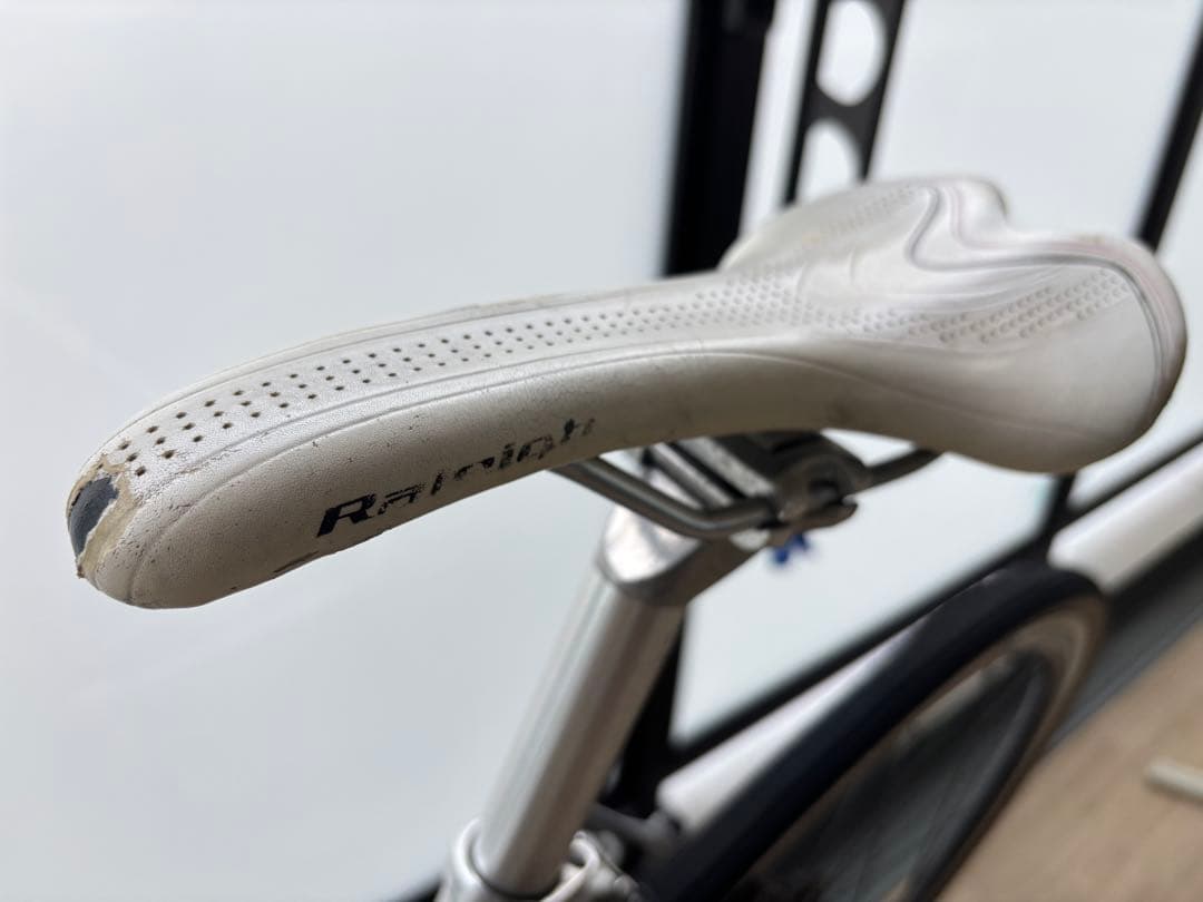 ミニウサギgios mistral