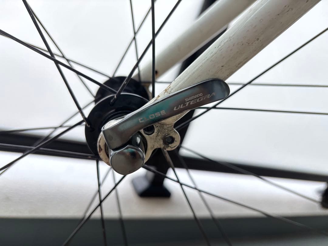 ミニウサギgios mistral