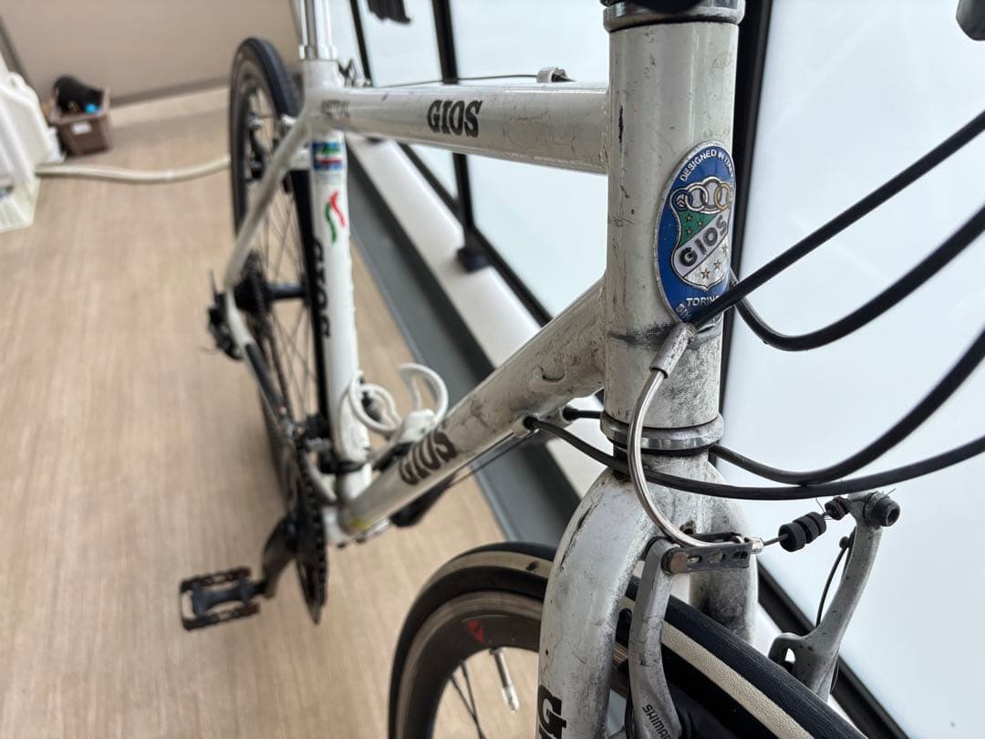 ミニウサギgios mistral