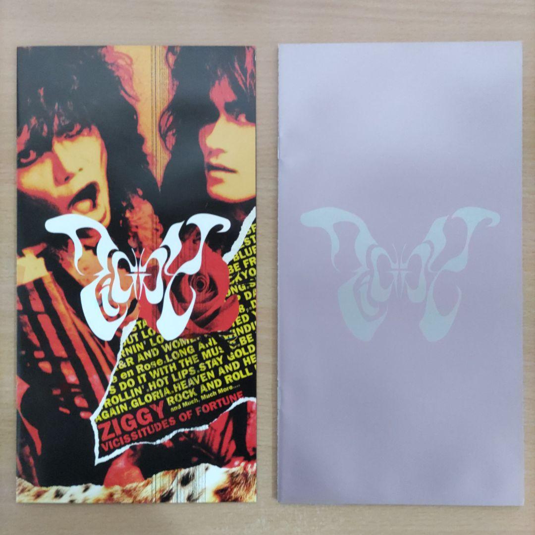 ZIGGY　ジギー　ヴィシセチュード・オヴ・フォーチュン