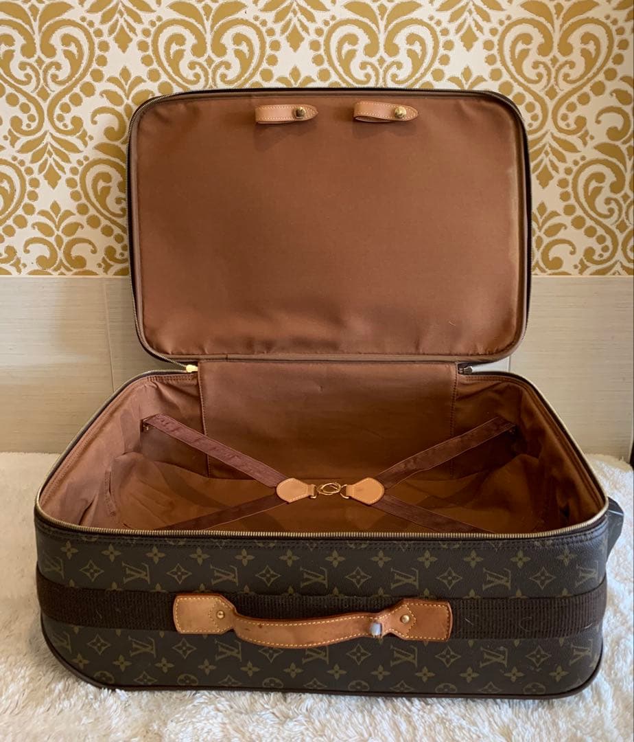 ⭐️ルイヴィトン　キャリーケース　ペガス55 モノグラム