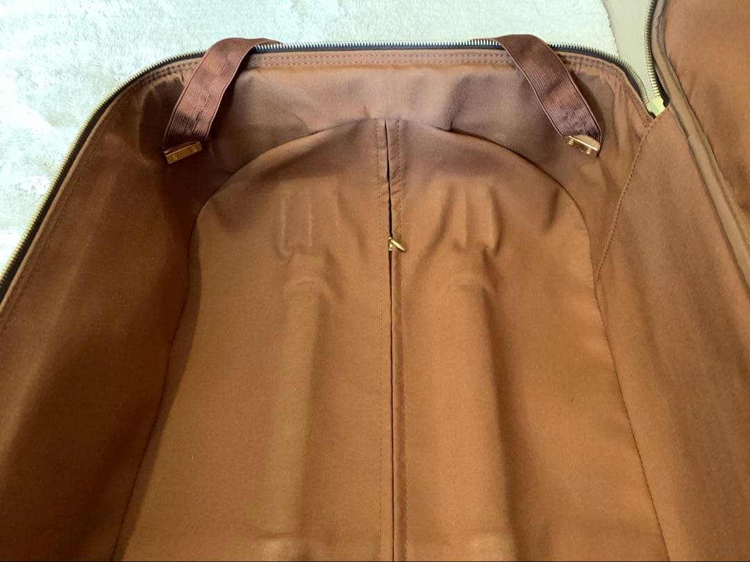 ⭐️ルイヴィトン　キャリーケース　ペガス55 モノグラム