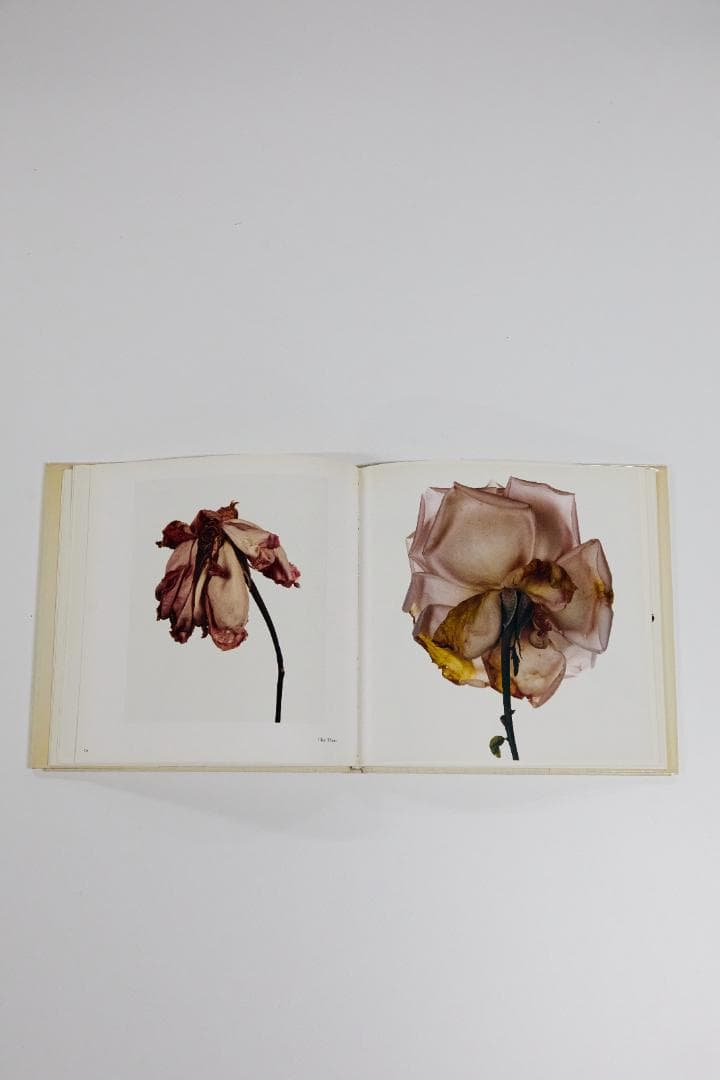 Irving Penn Flowers アーヴィングペン フラワーズ 写真集