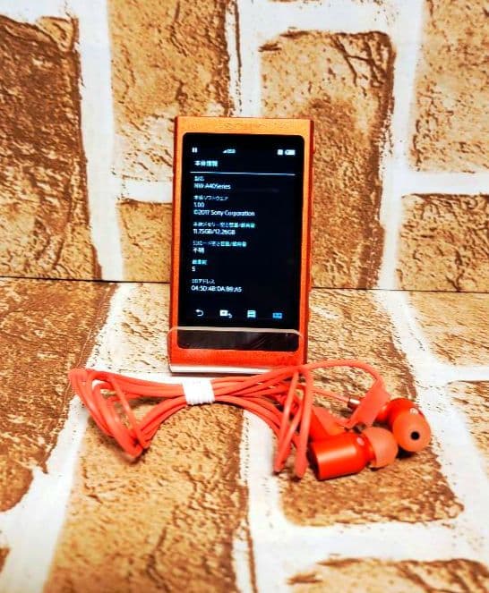 Sony NW-A45 トワイライトレッド