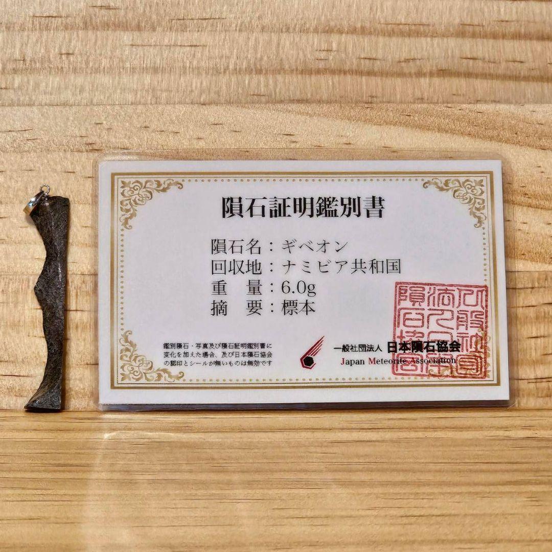 【アキムネ】ギベオン隕石 ペンダントトップのみ【鑑別書付】