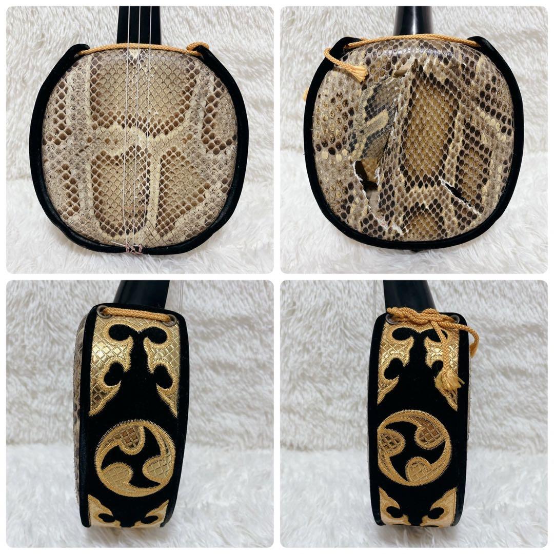 沖縄三線 本皮 一枚張り 本張り ソフトケース、爪、弦セット