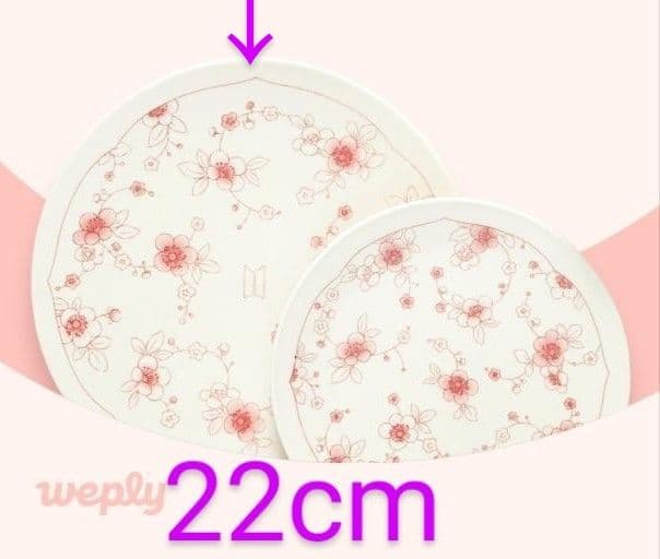 BTS 紅梅 廣州窯 クァンジュヨ KwangJuYo 平皿22cm