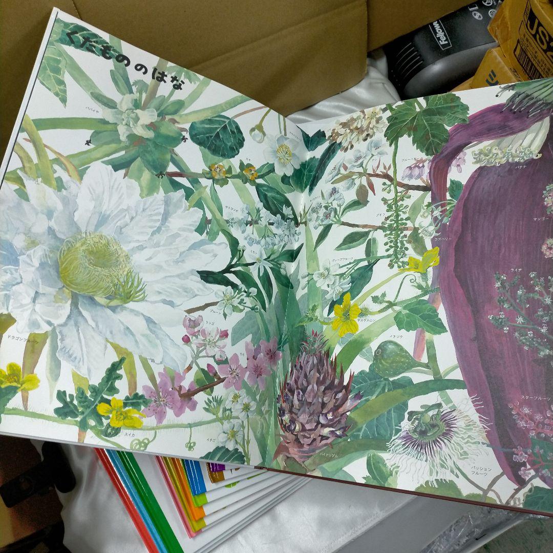 いきもののづくしものづくし　学習図書　福音館書店　全12巻【2f0107】