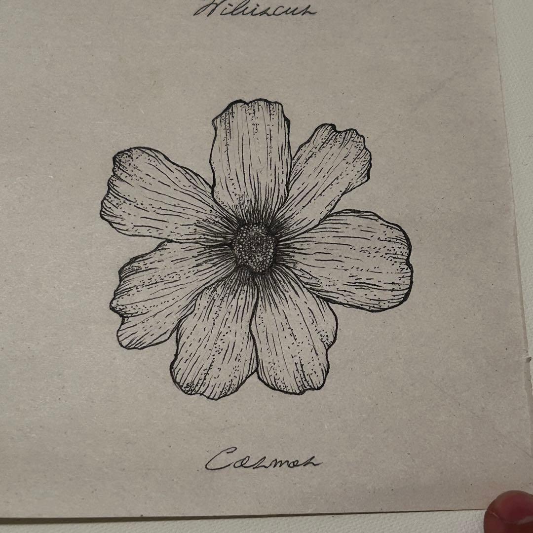 お花ポスター【手描き】