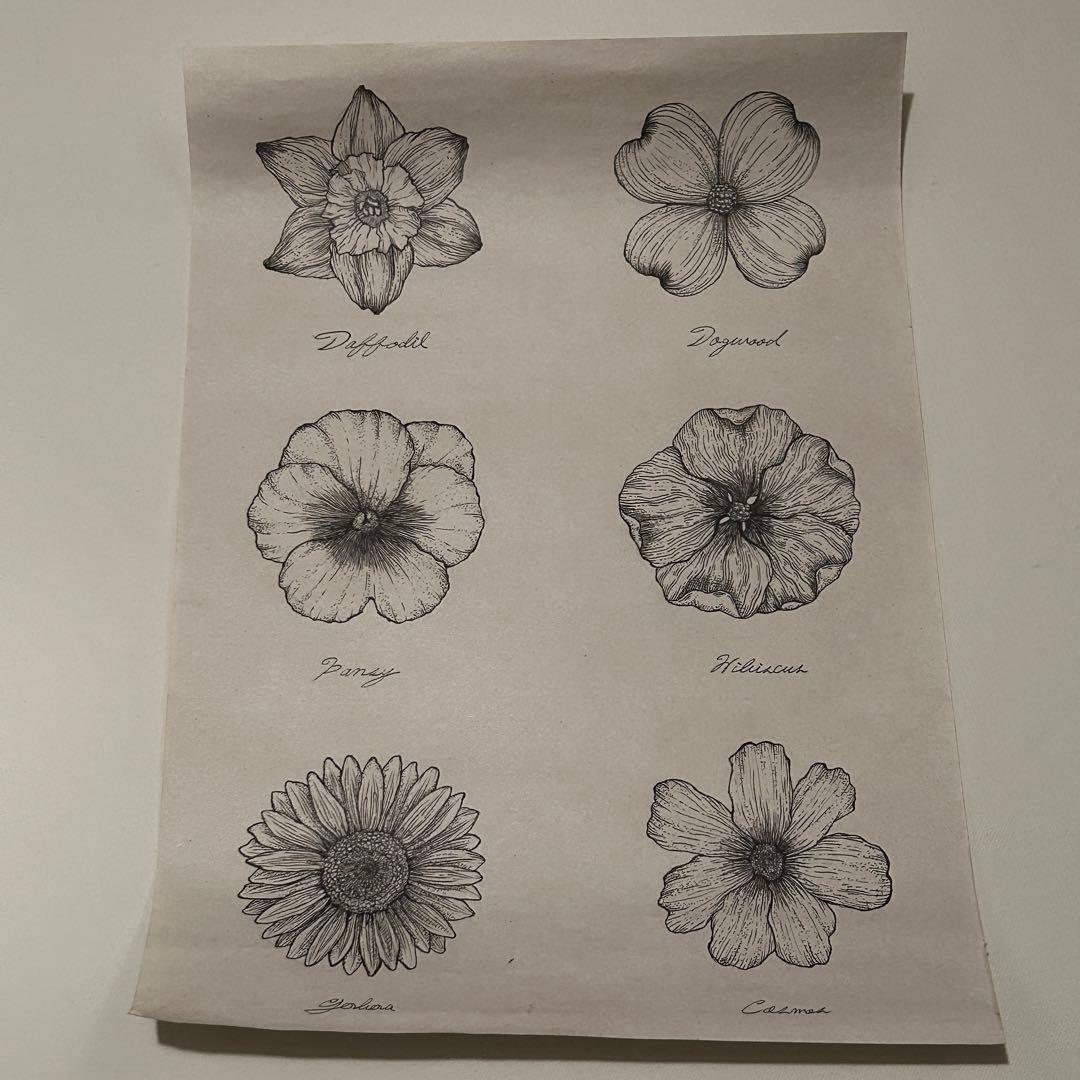 お花ポスター【手描き】