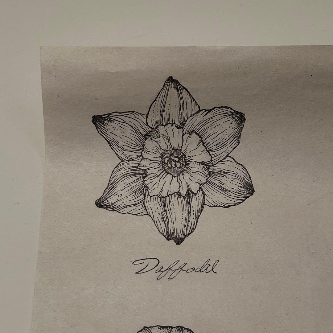 お花ポスター【手描き】