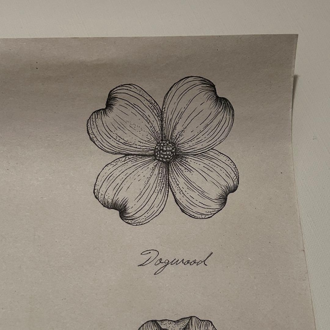 お花ポスター【手描き】