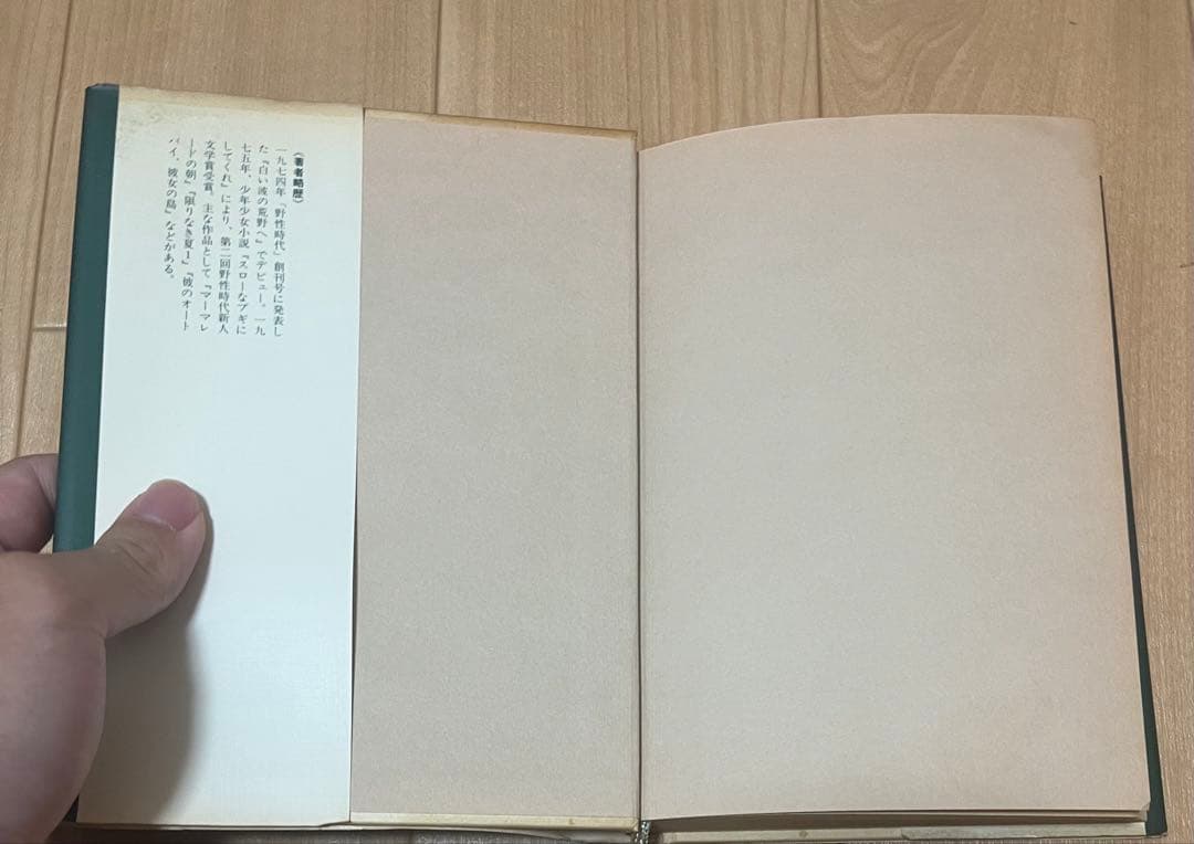 湾岸道路 片岡義男