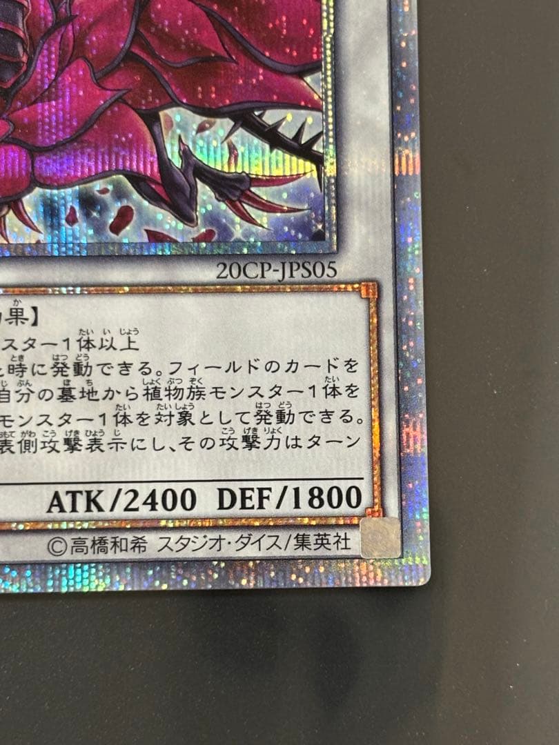 遊戯王　ブラックローズドラゴン　20thシークレット