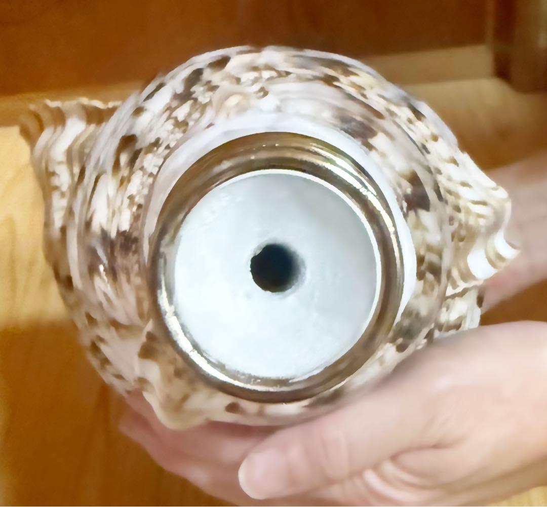 特大40㎝修験道法螺貝　山伏　密教　魔除け　熊よけ❣️ホラガイ