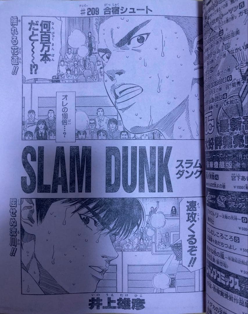 週刊少年ジャンプ　1995年7号　表紙&カラーグラビア特集/ ドラゴンボール