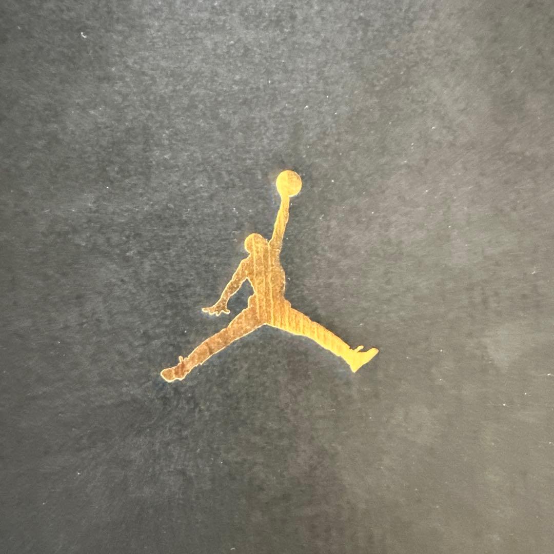 新品⭐︎SKYJORDAN 1 シューズ ジャンプマン　NIKE 16cm 希少色