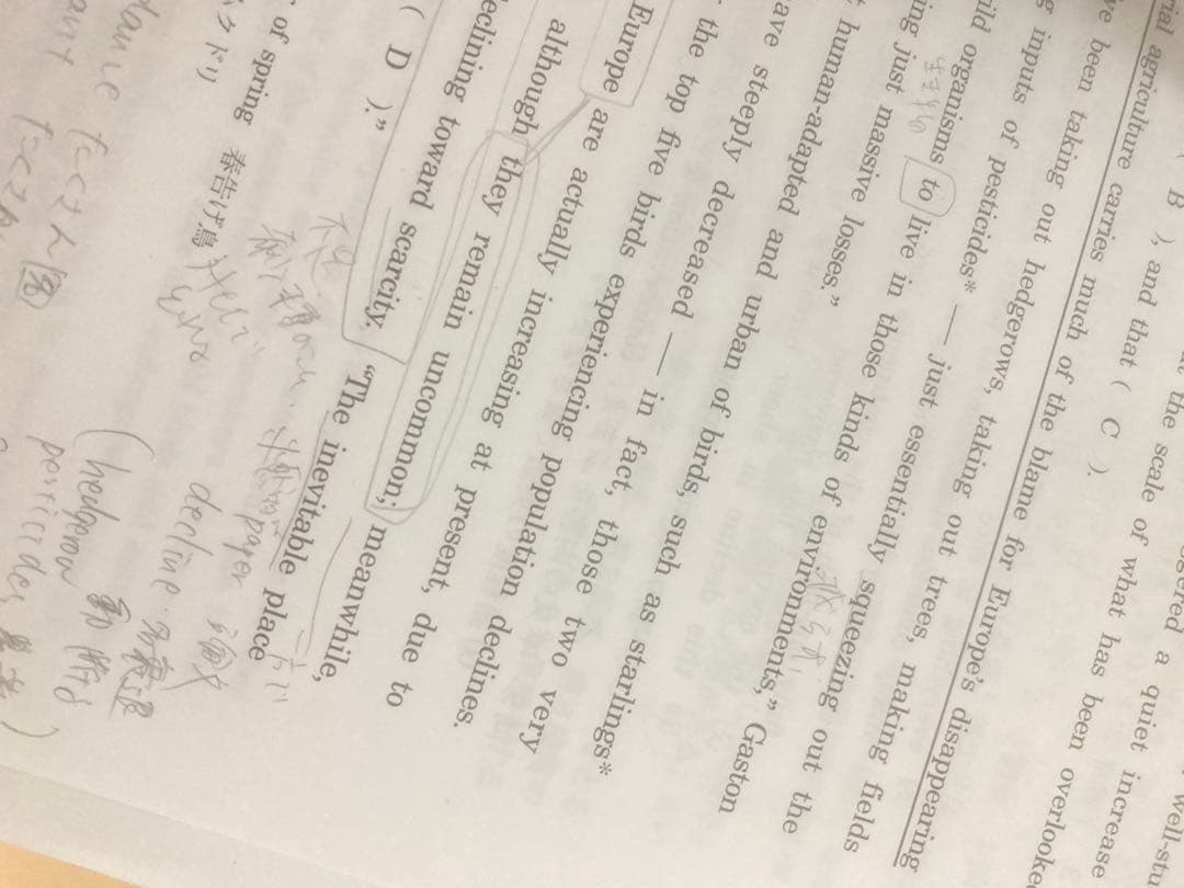 神戸英語 駿台 夏期講習 2022