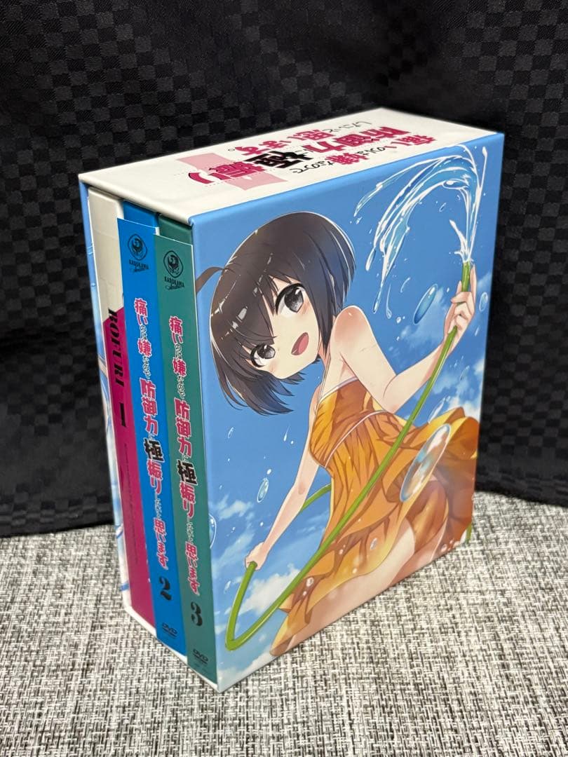 痛いのは嫌なので防御力に極振りしたいと思います。DVDBOX全巻セット