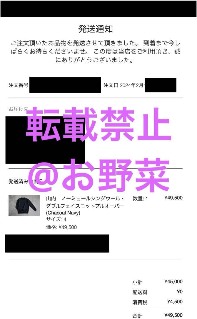 山内 ニット プルオーバー【24SS】