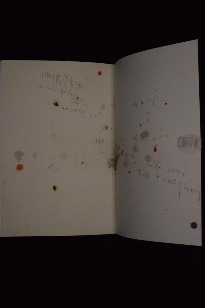 【Mark Borthwick: If We're Pioneer's】