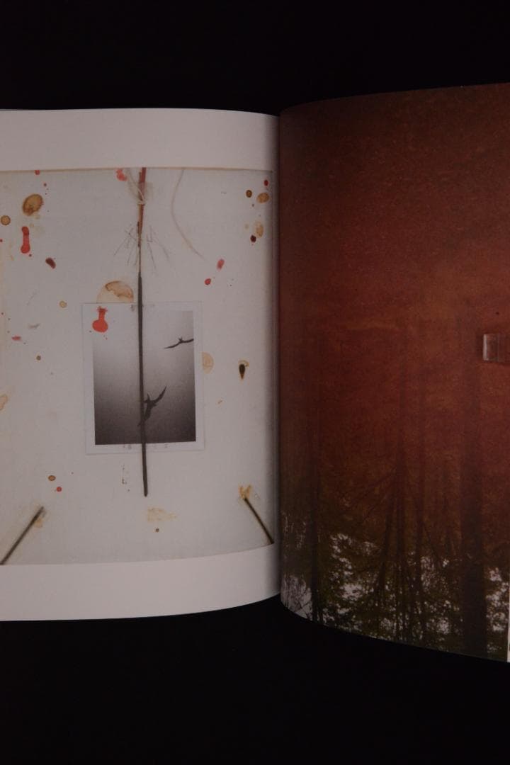 【Mark Borthwick: If We're Pioneer's】