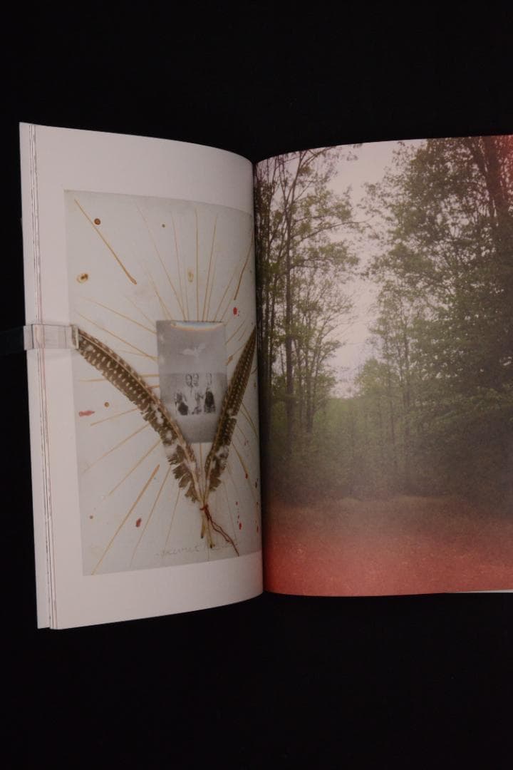 【Mark Borthwick: If We're Pioneer's】