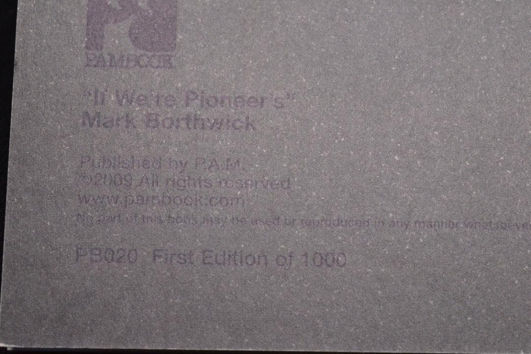 【Mark Borthwick: If We're Pioneer's】