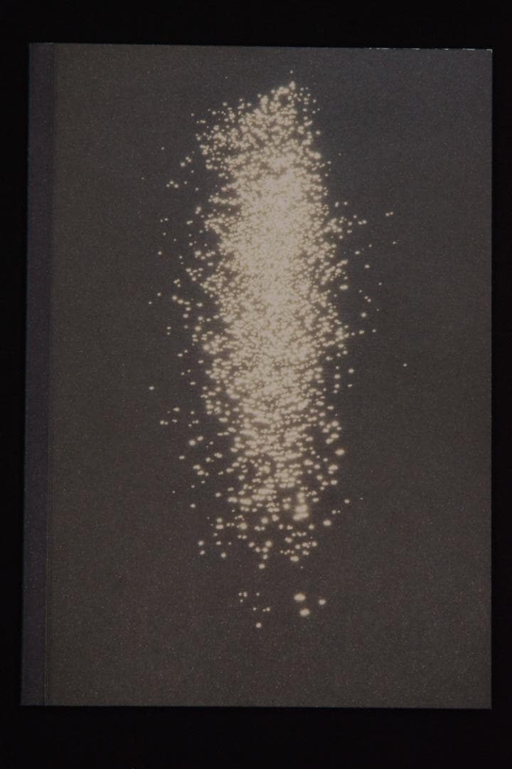 【Mark Borthwick: If We're Pioneer's】