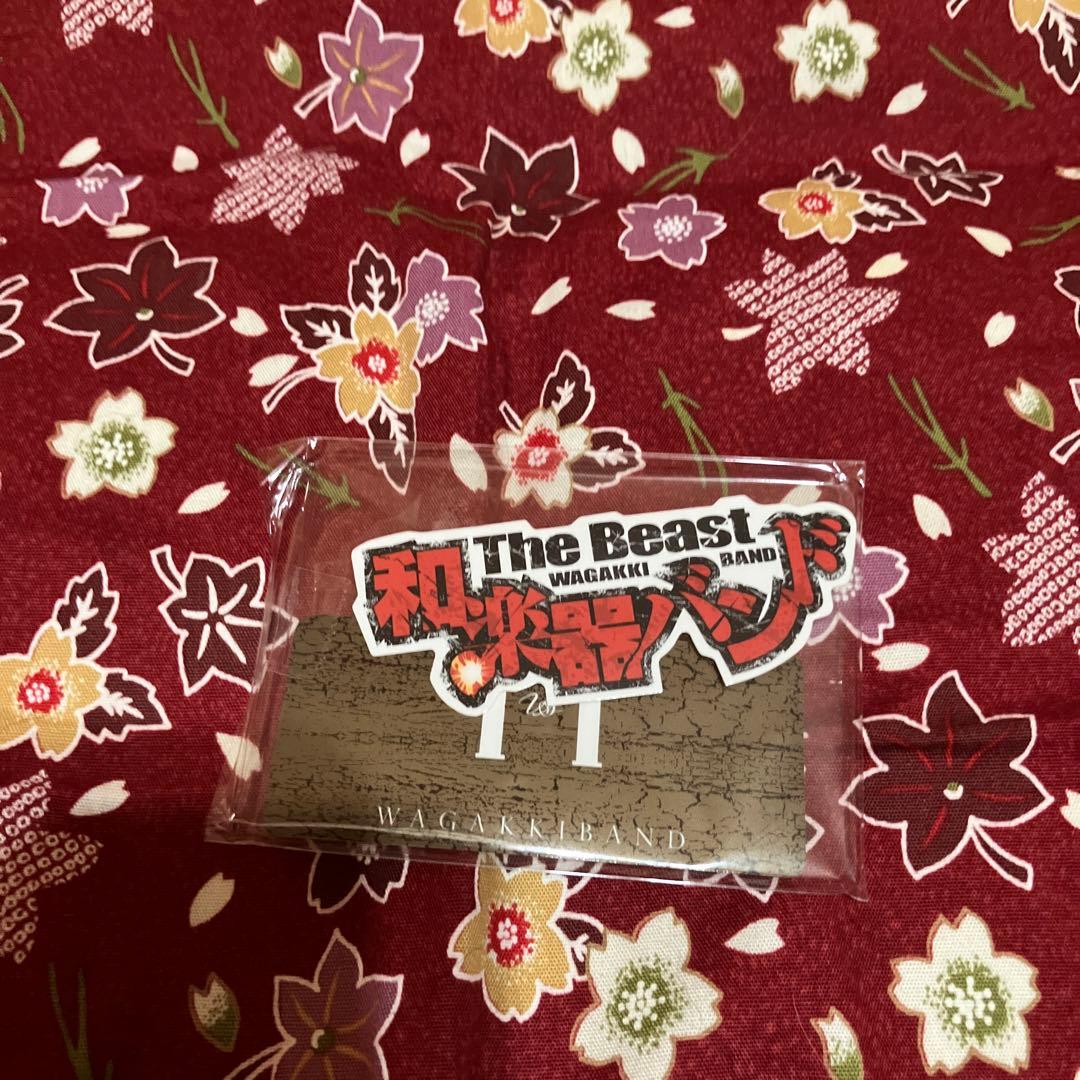 和楽器バンド　ivi  限定版