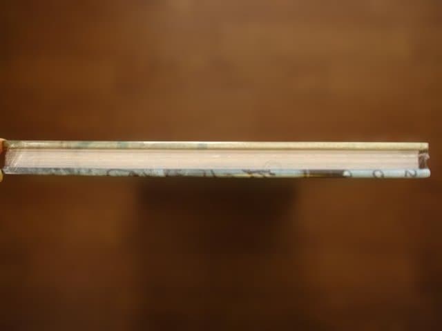 Yesterday's Sandwich　Boris Mikhailov