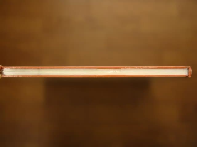 Yesterday's Sandwich　Boris Mikhailov