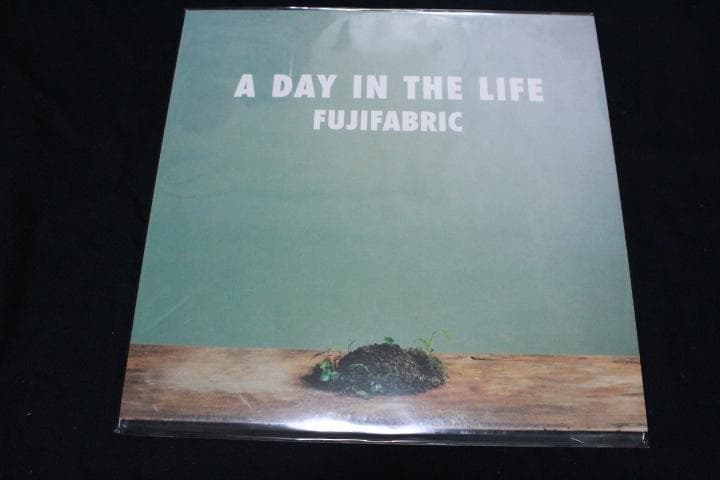 フジファブリック A DAY IN THE LIFE LP